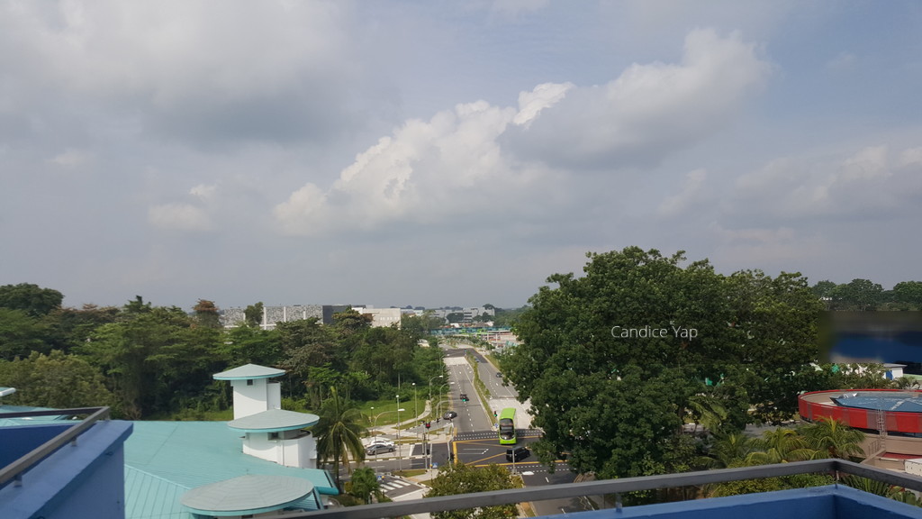 Blk 256 Pasir Ris Street 21 (Pasir Ris), HDB Executive #154547182